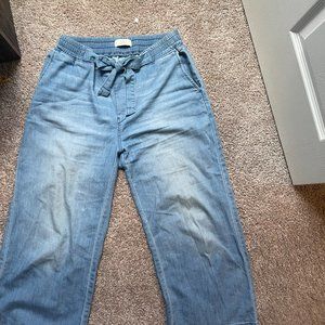 Wide Levi's Denim Palazzo Pants